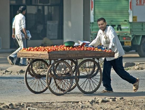 Imad Trabelsi - Le pauvre vends des tomates. Pourquoi il ne vends plus des oursins (ritzi) comme avant? - Der arme verkauft jetzt Tomaten. Warum verkauft er nicht mehr Seeigel wie frher?